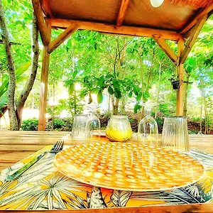 Tente de luxe Glamping Farmer, Le Vauclin